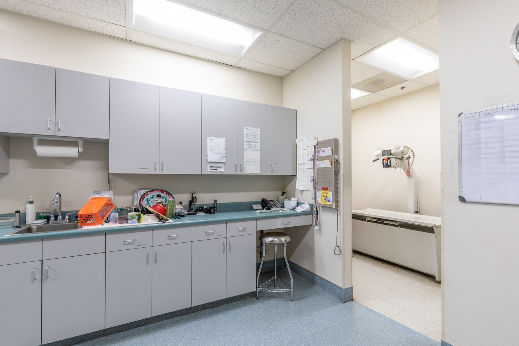 back office area at Oak Animal Hospital