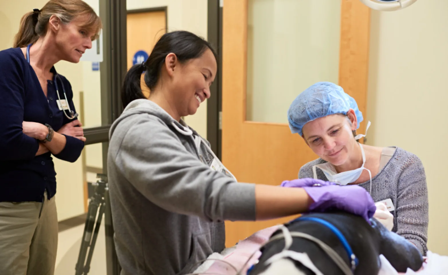 Three Veterinarians Examining a Black Dog at SAGE Veterinary Center - San Francisco