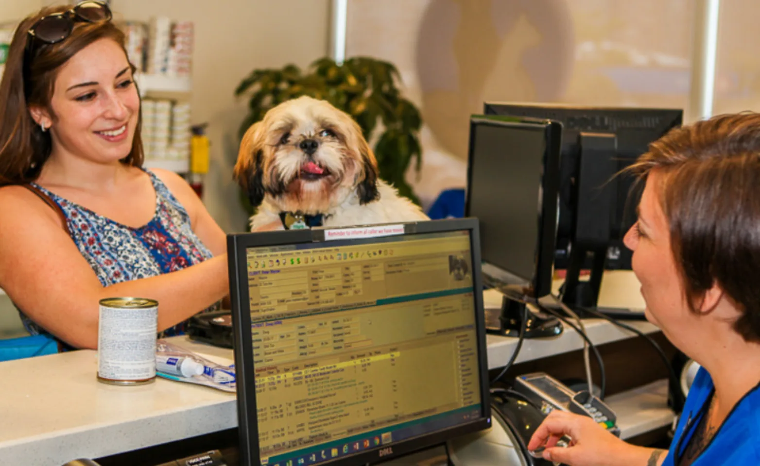 Client with Dog Talking to Receptionist at Islington Village Animal Hospital Client with Dog Talking to Receptionist at Islington Village Animal Hospital