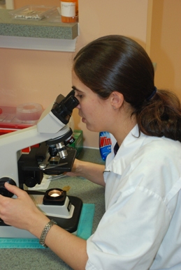 Seven Bends Veterinary Hospital Lab