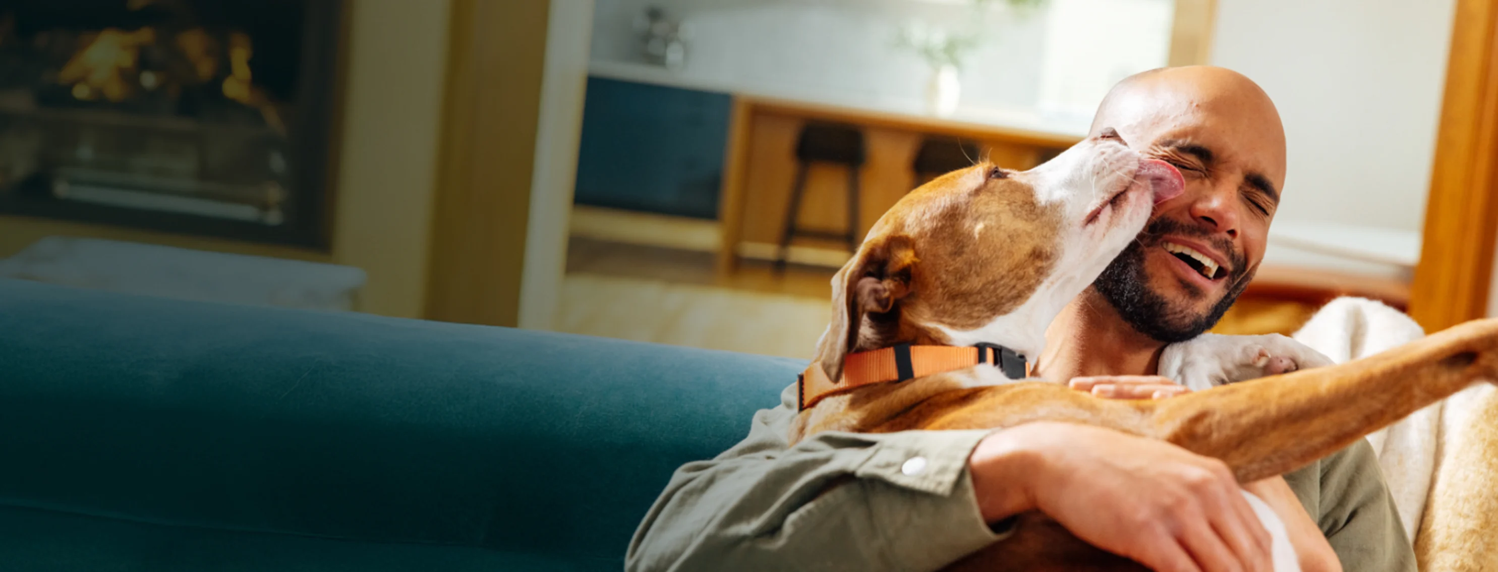 Dog Licking Owner's Face Dog Licking Owner's Face