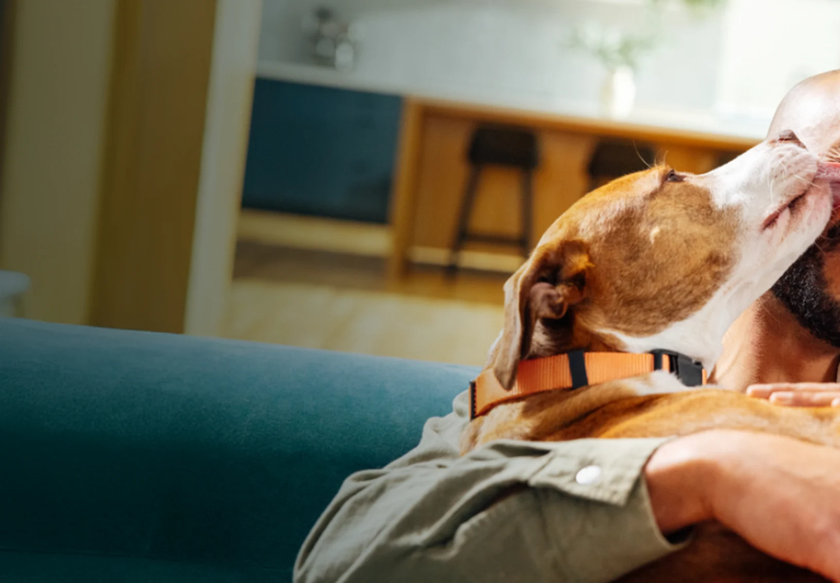 Dog Licking Owner's Face Dog Licking Owner's Face