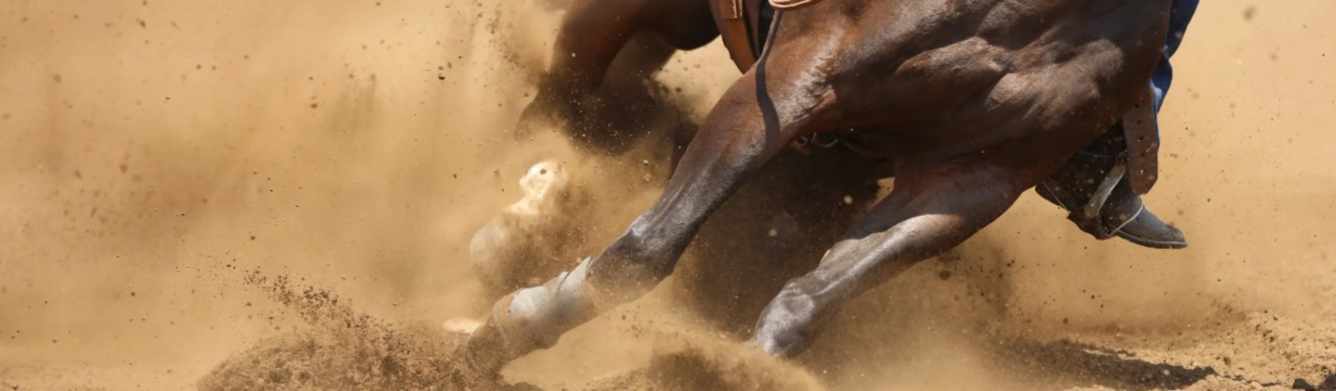 A horse running and kicking up the dirt