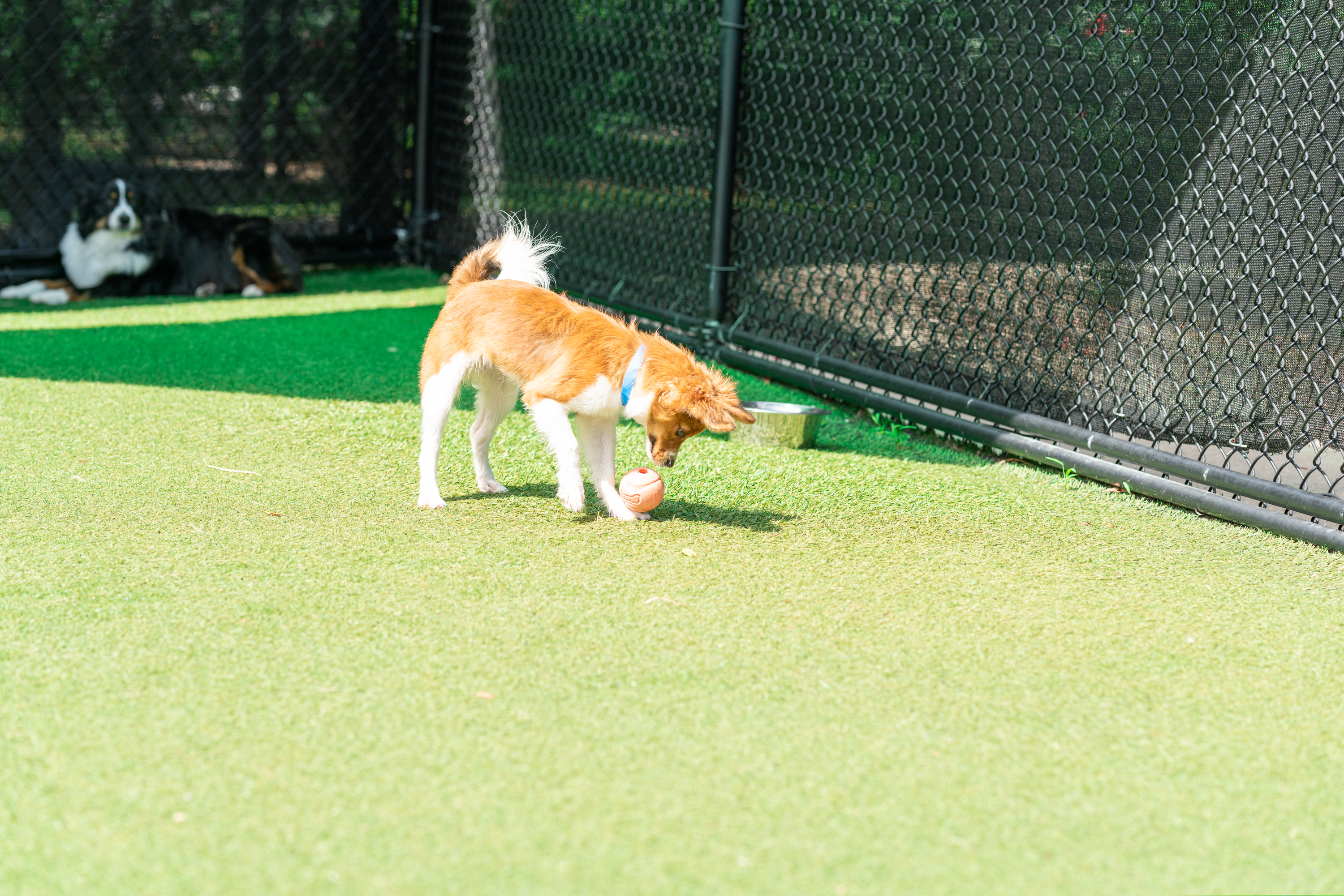 The Lodge at New Tampa Yard