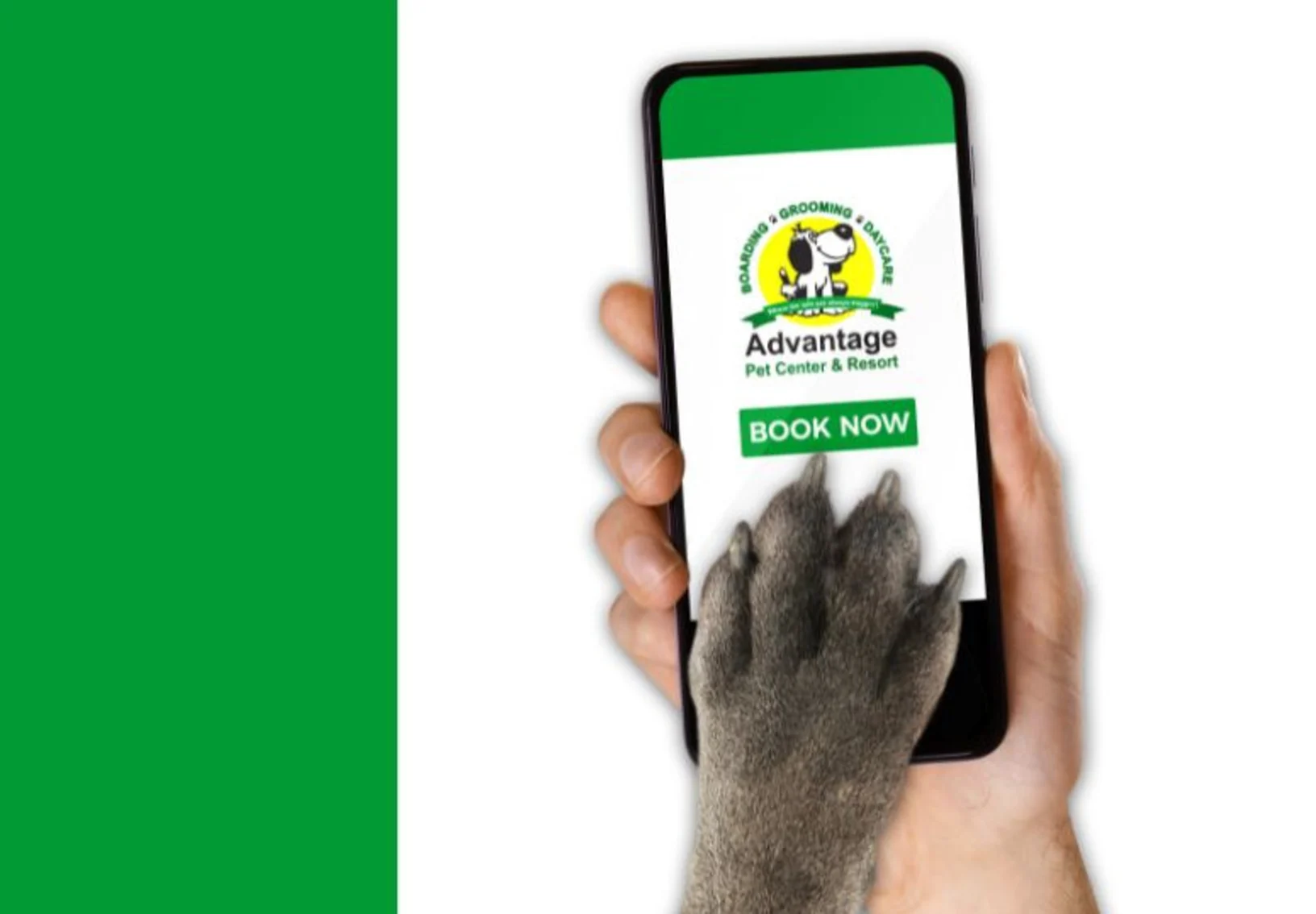 Smart phone showing mobile app being controlled by a dog paw. Smart phone showing mobile app being controlled by a dog paw.