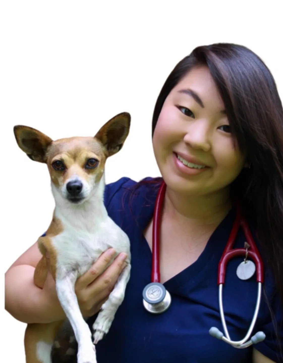 Emily Lowe Emily Lowe