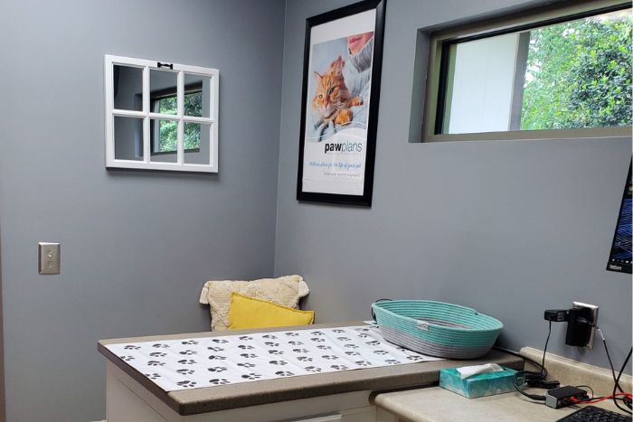 Lake Chatuge Animal Hospital Examination Table