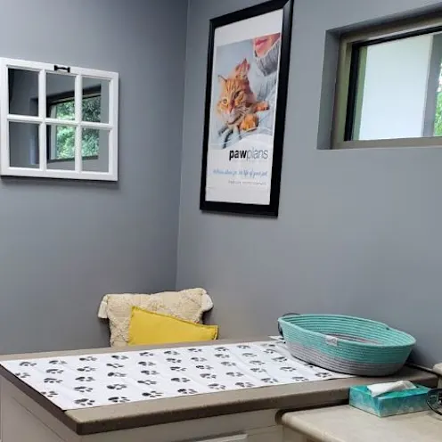 Lake Chatuge Animal Hospital Examination Table Lake Chatuge Animal Hospital Examination Table