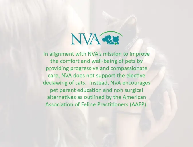 NVA does not support the elective declawing of cats. Instead, NVA encourages pet parent education and non surgical alternatives as outlined by the American Association of Feline Practitioners (AFFP).