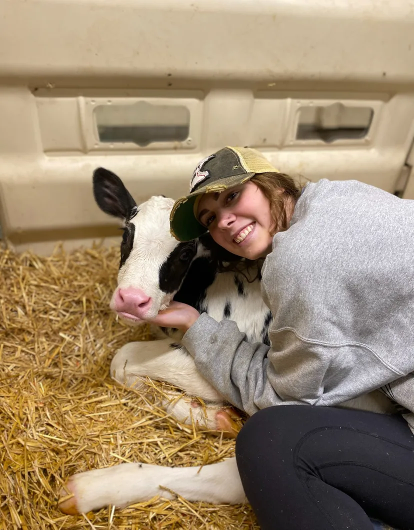 Photo of Molly with young calf 