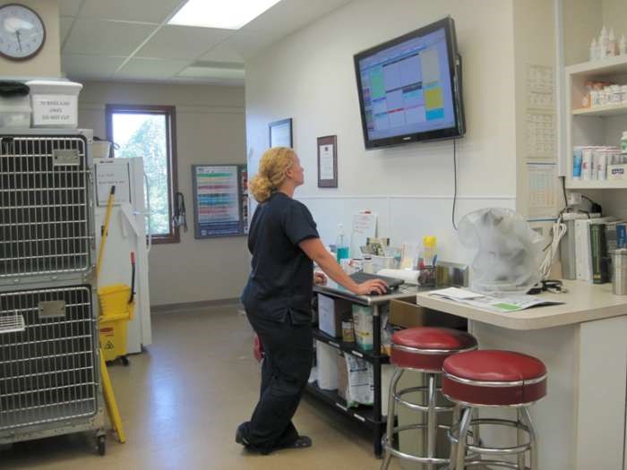 A staff member at Ludwigs Corner examining a computer screen
