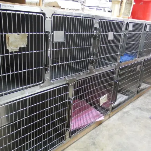 Angeles Clinic for Animals Small Dog Boarding