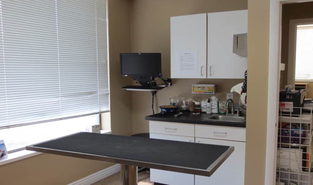 East Valley Veterinary Clinic Examination room and table