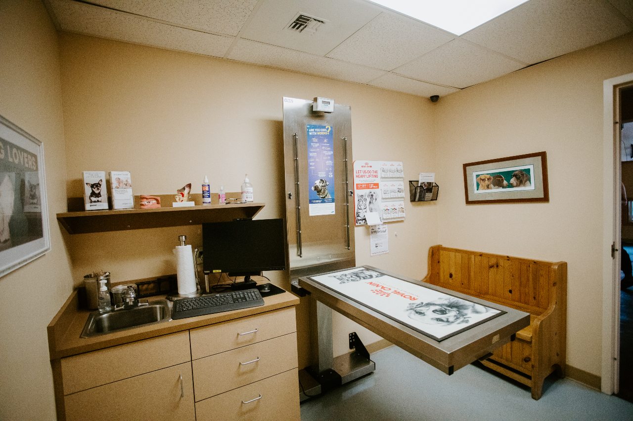 North Creek Pet Hospital Exam Room