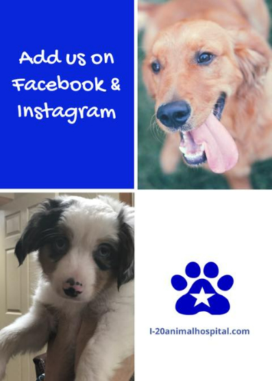 Add us on Facebook & Instagram