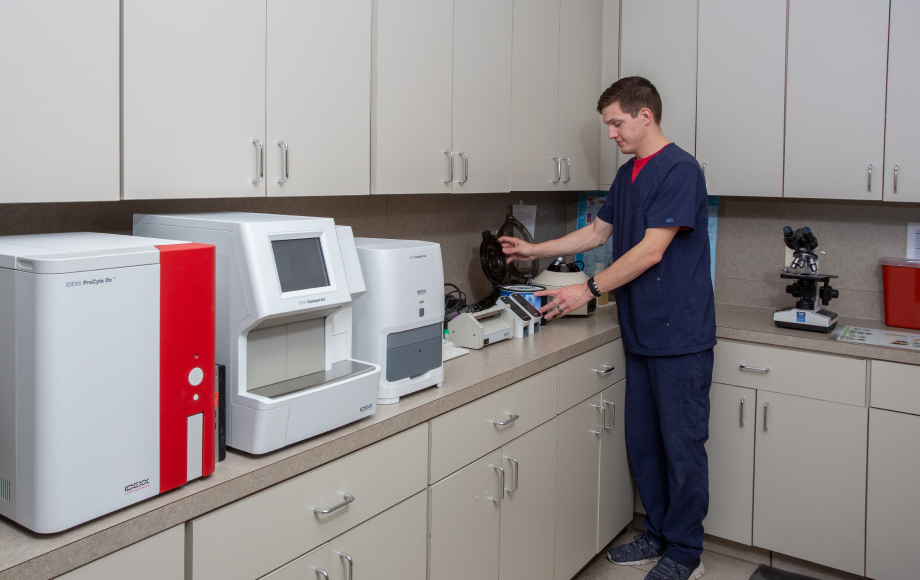 Lab and technician at Windhaven Veterinary Hospital