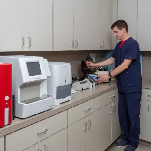 Lab and technician at Windhaven Veterinary Hospital Lab and technician at Windhaven Veterinary Hospital