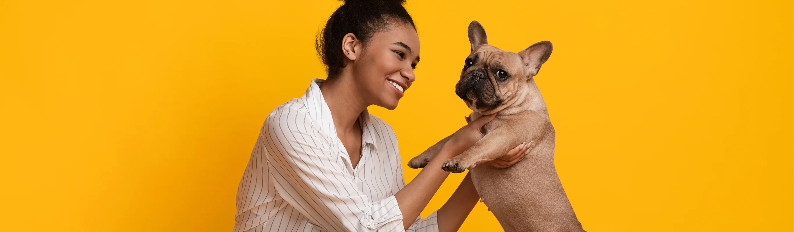 Yellow background, a woman with dog Yellow background, a woman with dog