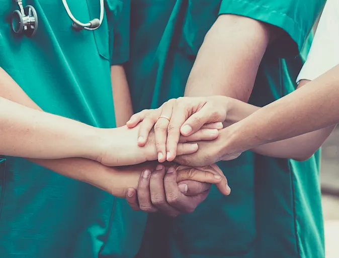 Veterinarians' hands Veterinarians' hands