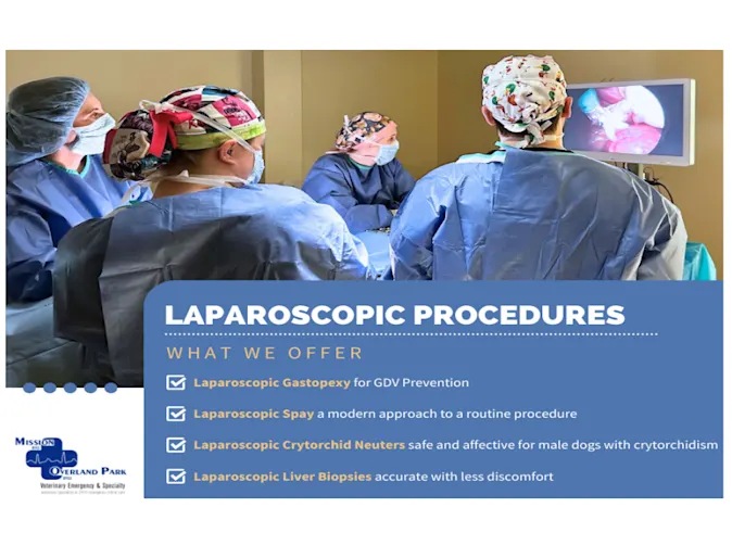 Group of surgeons examining a laparoscopic procedure on a monitor. Group of surgeons examining a laparoscopic procedure on a monitor.