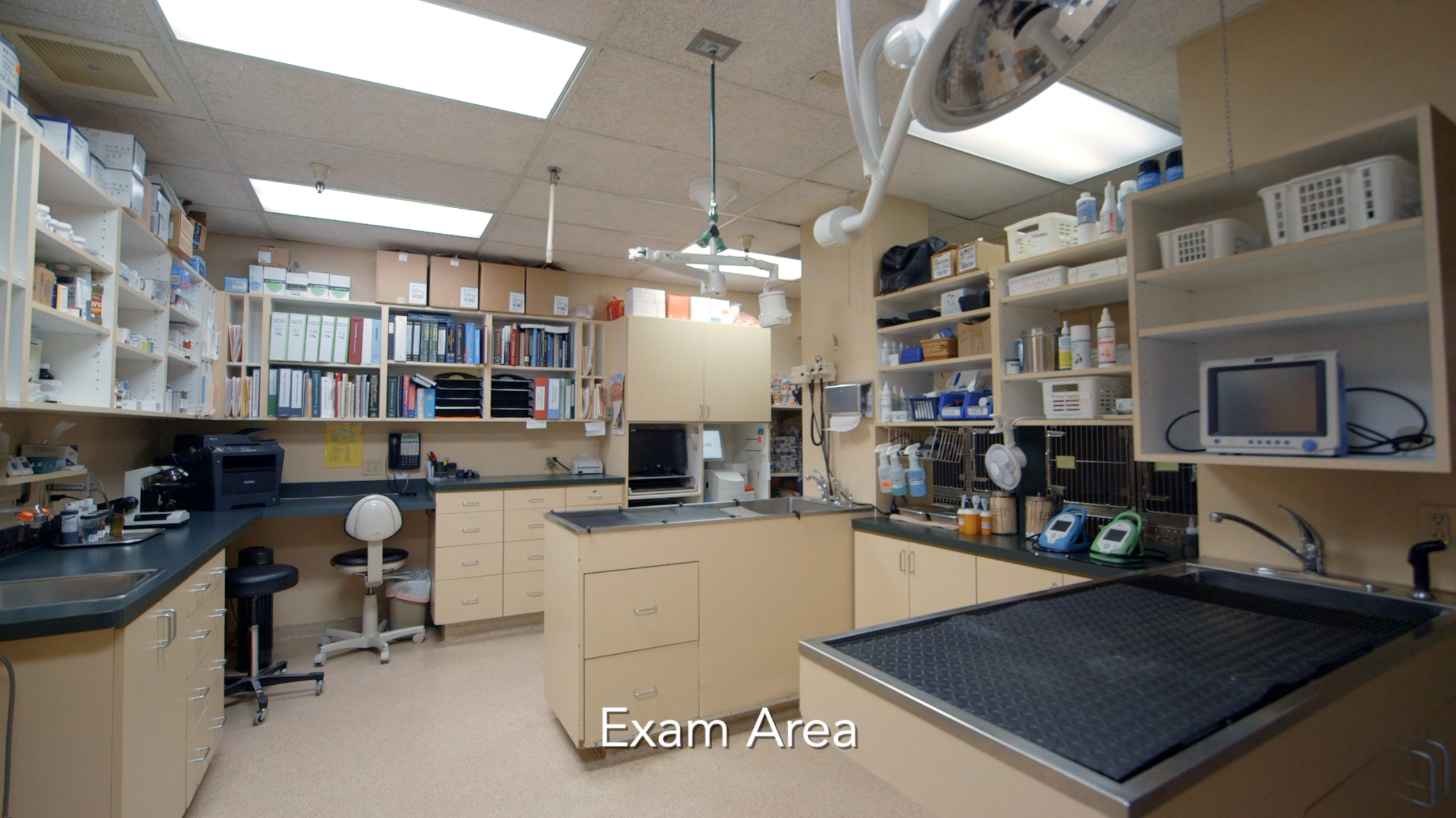 Exam Area with tables and lab in the background at Mt. Diablo Veterinary Medical Center