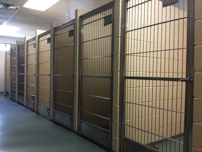 Animal Medical and Surgical Hospital of Frisco Boarding area that are clean cages. 