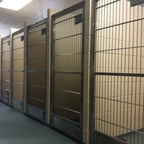 Animal Medical and Surgical Hospital of Frisco Boarding area that are clean cages. 
