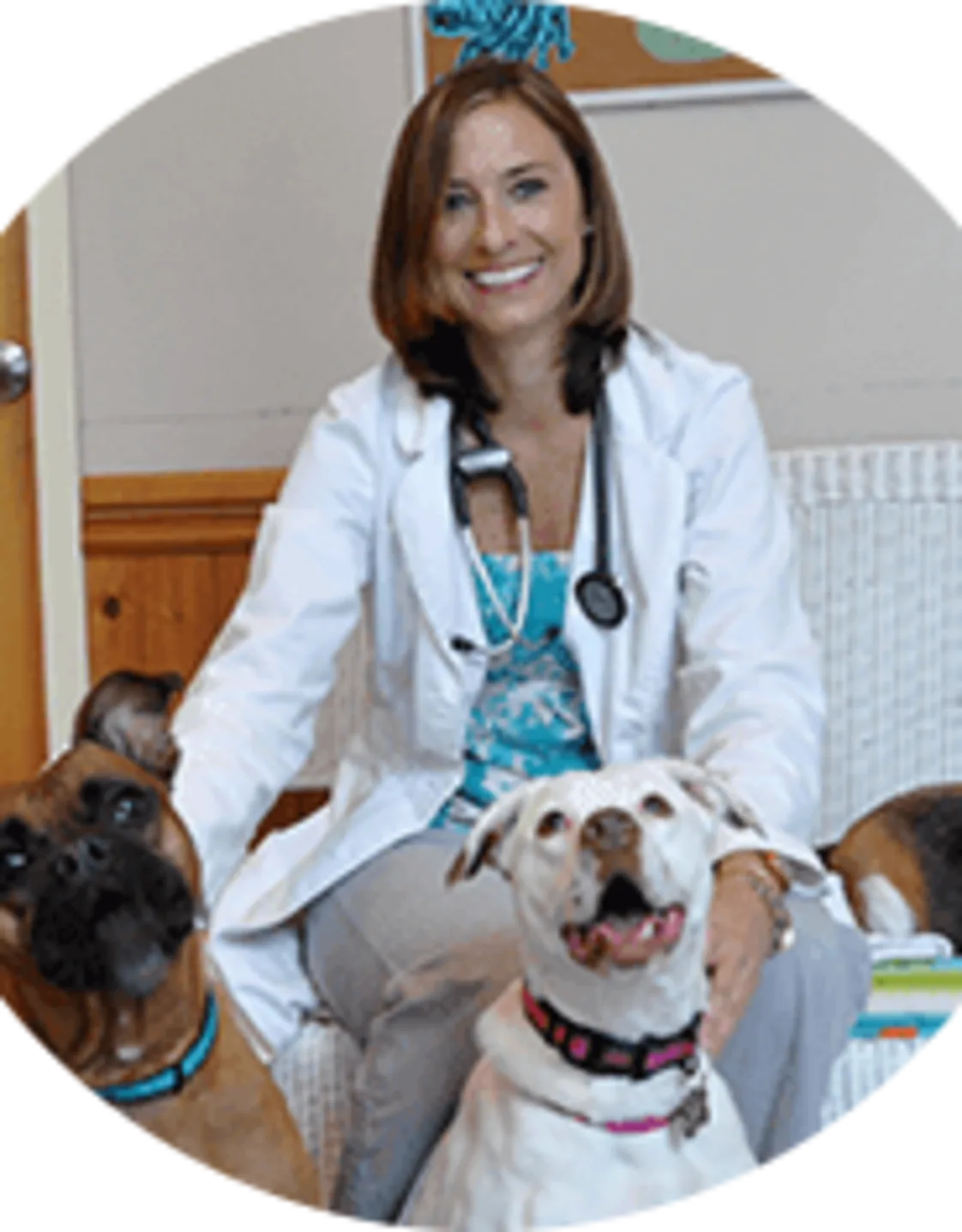 Stephanie Welch from Pawleys Veterinary Hospital Stephanie Welch from Pawleys Veterinary Hospital