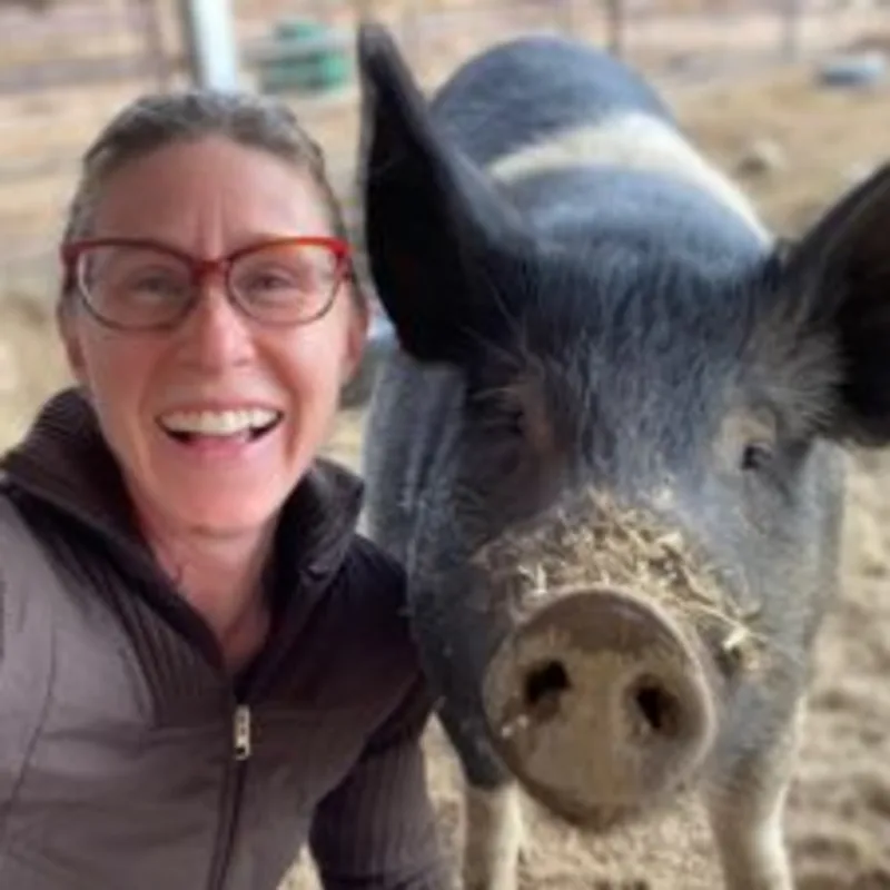 Mercedes Maybach Mercedes Maybach