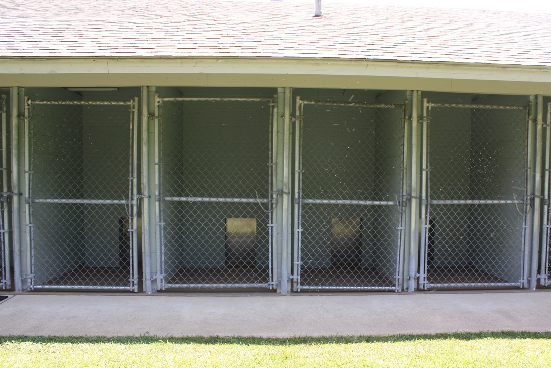 Westridge Animal Hospital Outdoor Kennel