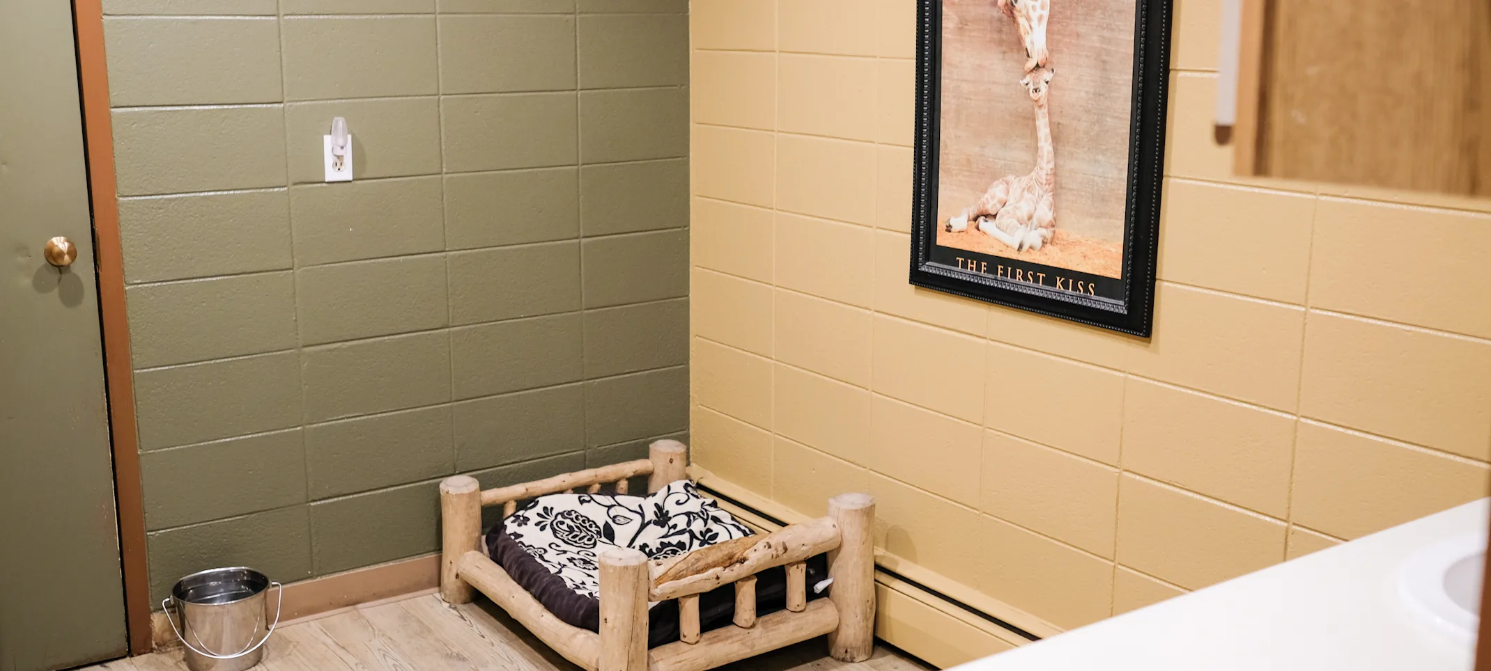 Bergen bark inn boarding bed Bergen bark inn boarding bed