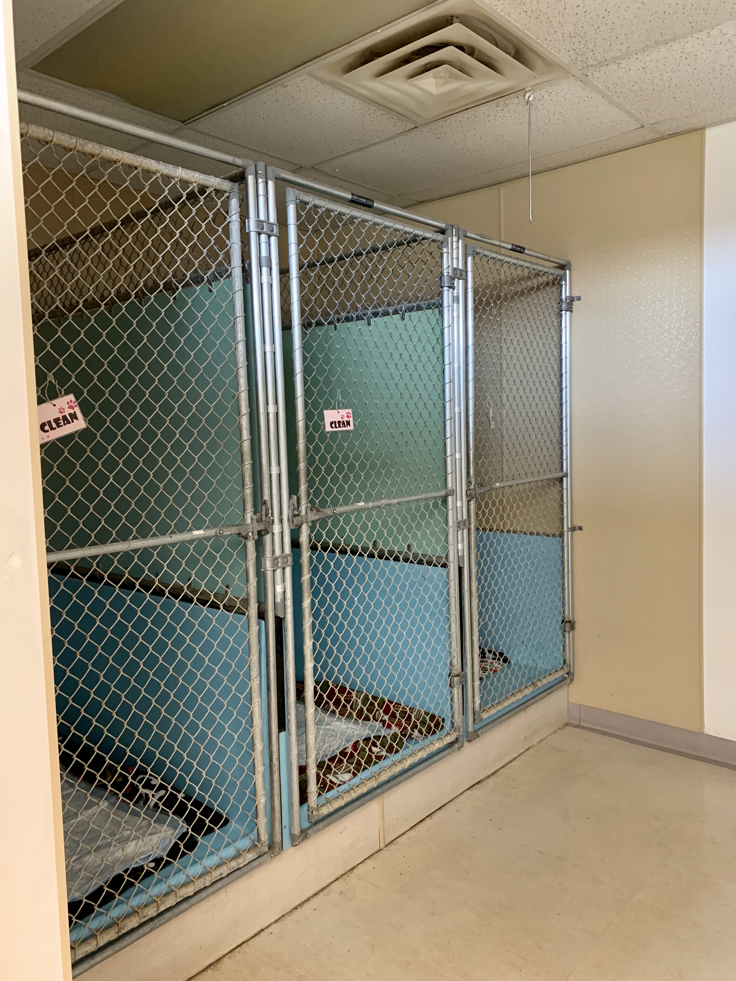 Tubs at Camboro Veterinary Hospital