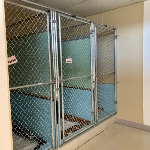 Tubs at Camboro Veterinary Hospital Tubs at Camboro Veterinary Hospital