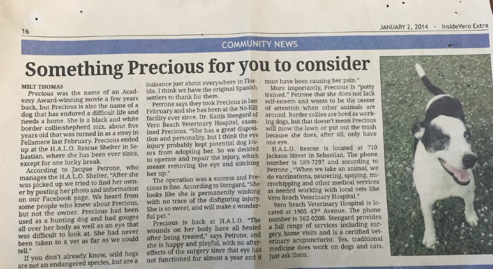 Something precious for you to consider