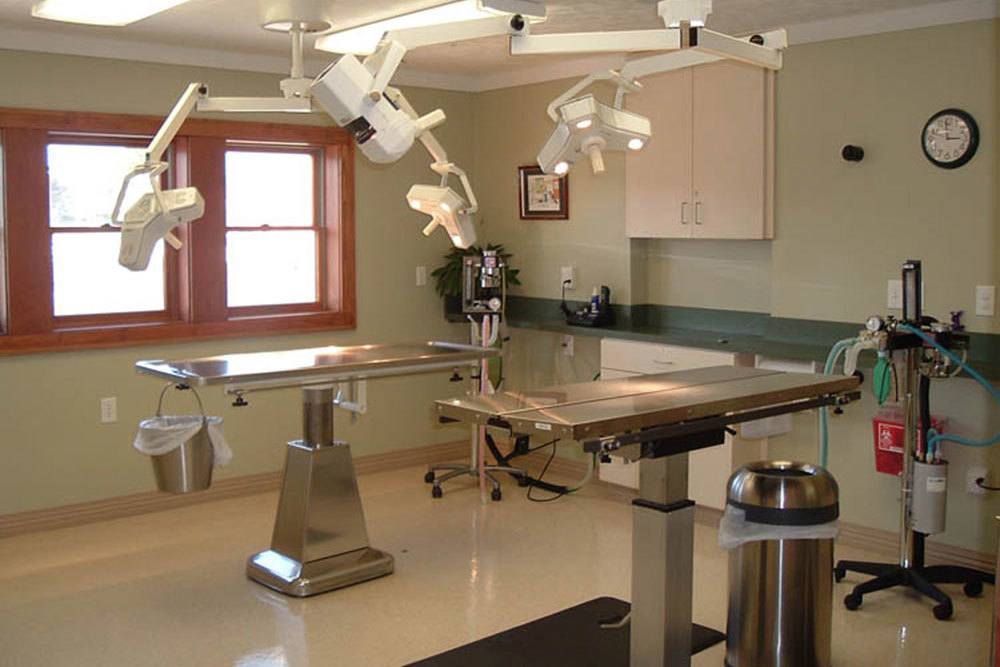 Metal tables in operating room at Oak Pointe Veterinary Care.