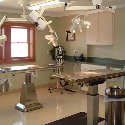 Metal tables in operating room at Oak Pointe Veterinary Care. Metal tables in operating room at Oak Pointe Veterinary Care.