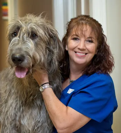 Kathy Mongiello Kathy Mongiello