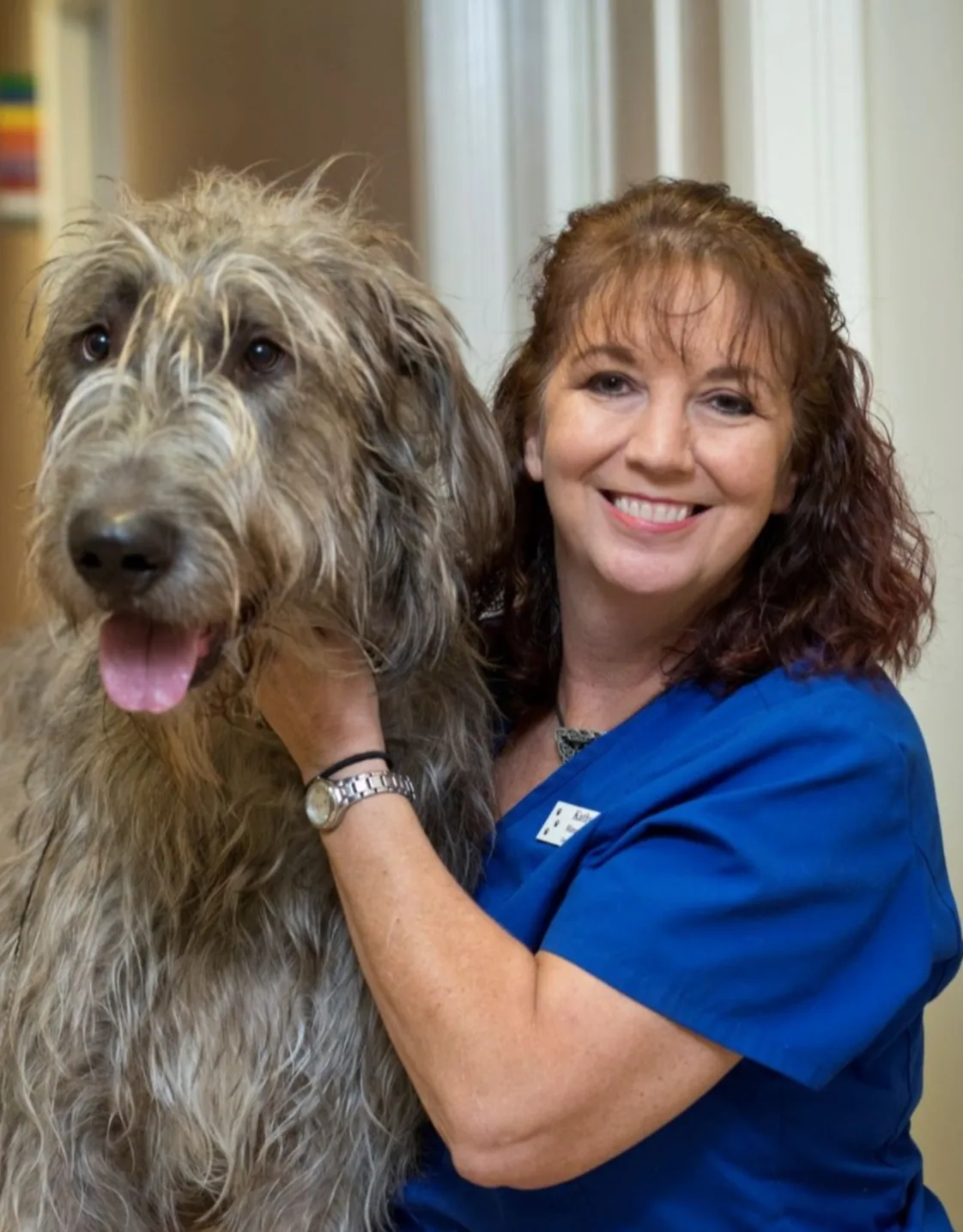 Kathy Mongiello Kathy Mongiello