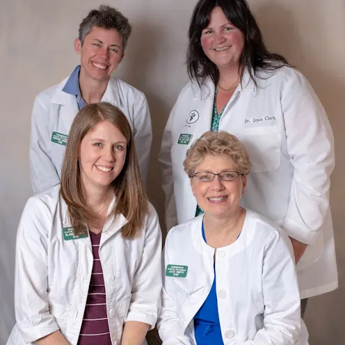 Team of veterinary doctors at Friendship Hospital for Animals Team of veterinary doctors at Friendship Hospital for Animals