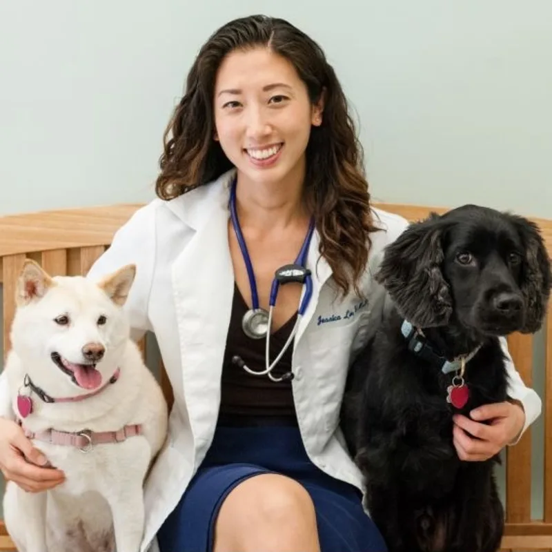 Jessica Lee Jessica Lee