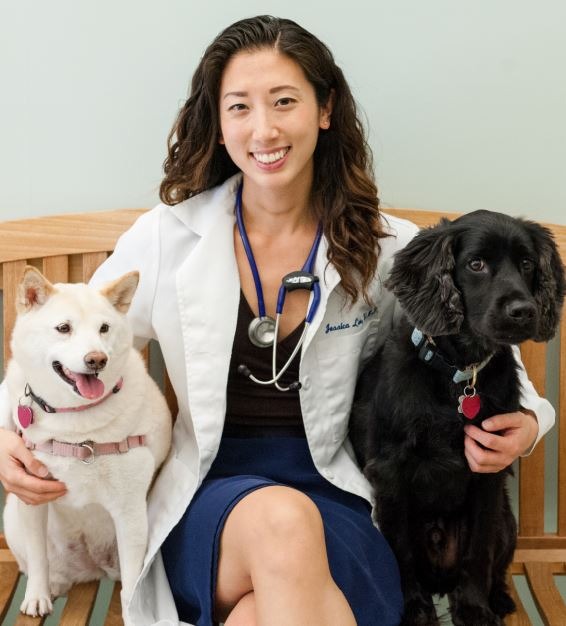 west village veterinary nyc