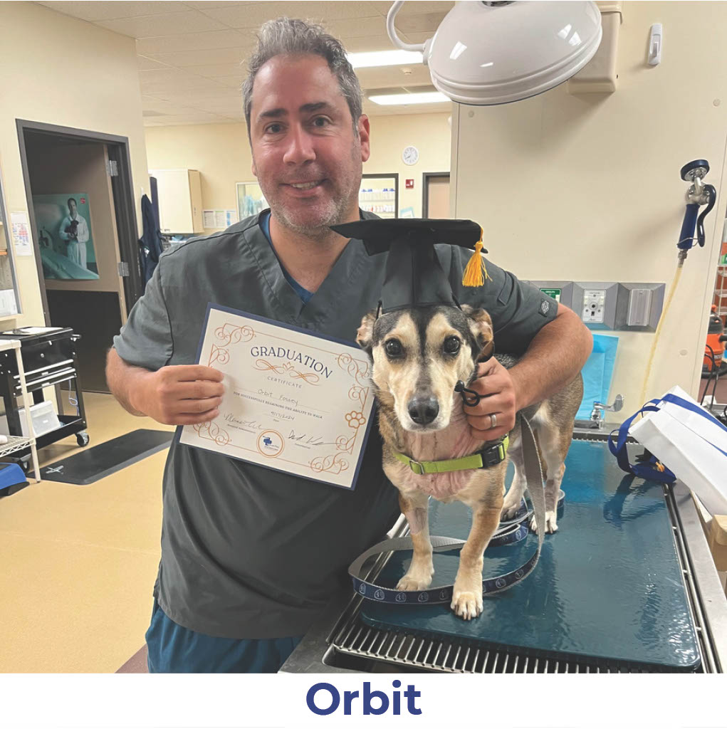 Orbit the dog with Neurology Graduate Hall of Fame certificate