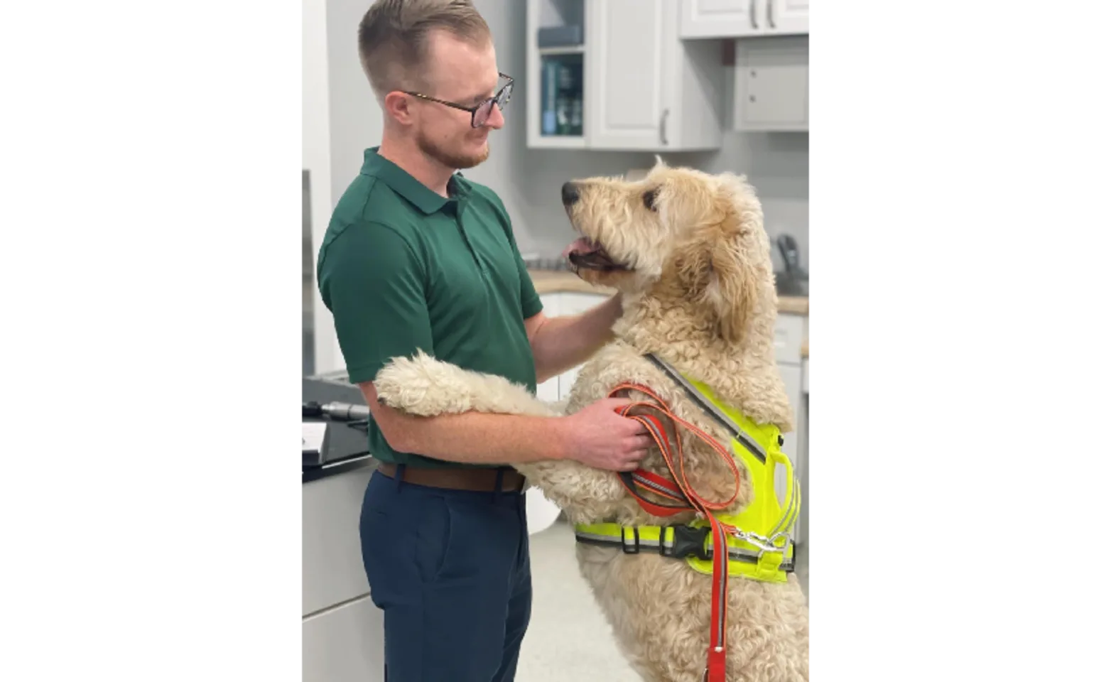 A veterinarian holding a dogs paws A veterinarian holding a dogs paws