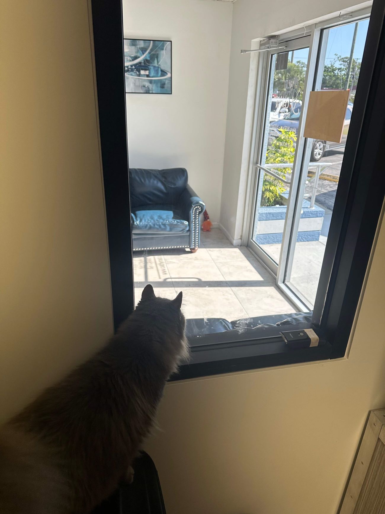  Annabella Looking Out the Window