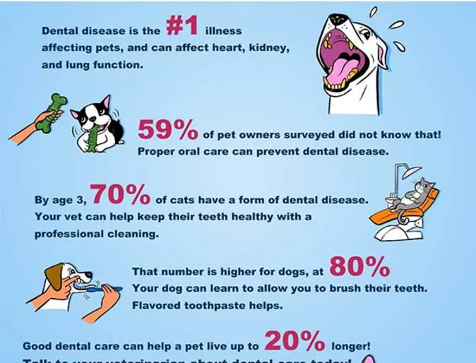 Chart of Dental Care Helps Your Pet Live Longer Chart of Dental Care Helps Your Pet Live Longer