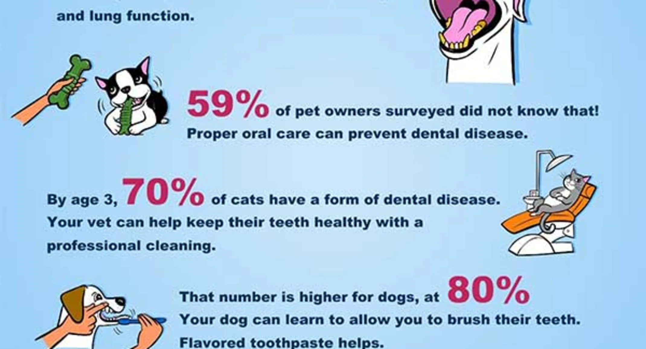 Chart of Dental Care Helps Your Pet Live Longer Chart of Dental Care Helps Your Pet Live Longer
