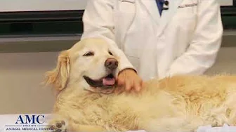 Thumbnail screenshot