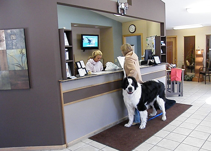  Dog and Owner in lobby at reception desk