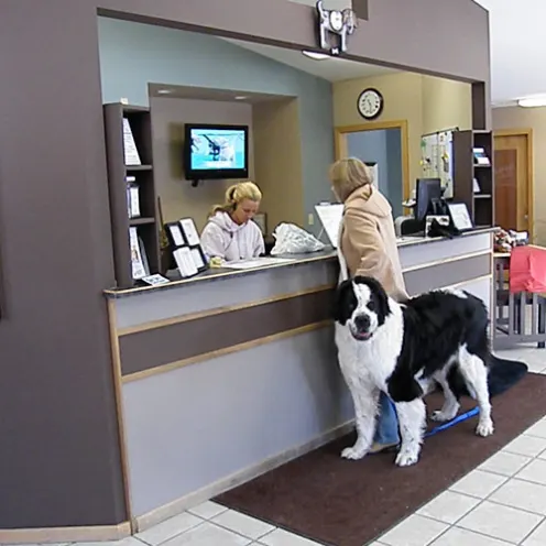  Dog and Owner in lobby at reception desk