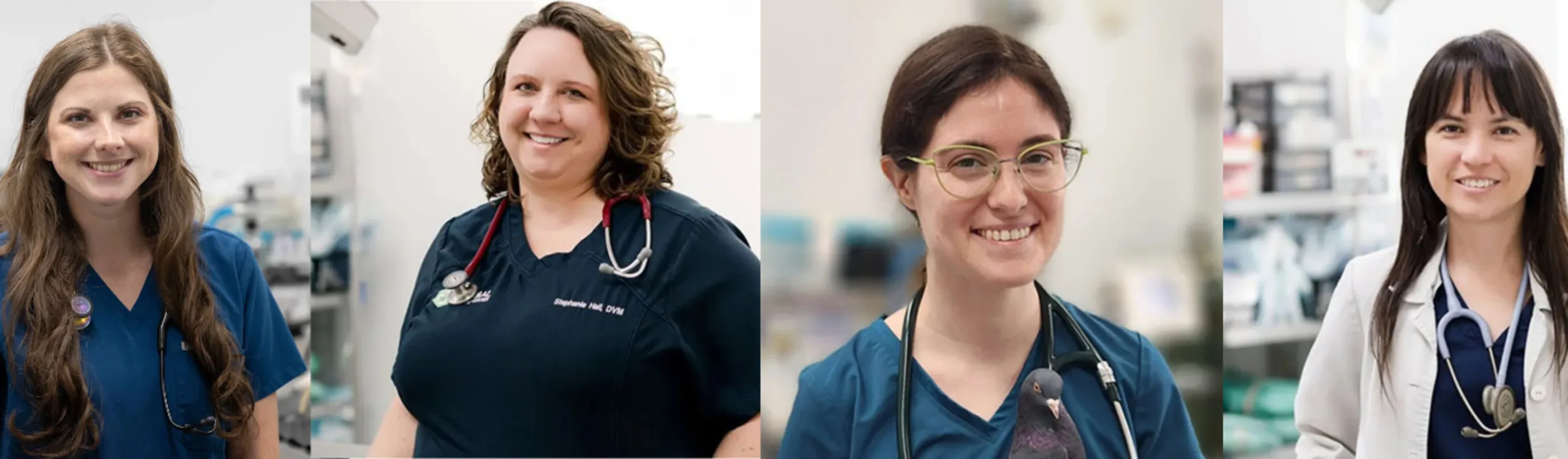 Our Doctors at Animal Medical Center Tuscaloosa Our Doctors at Animal Medical Center Tuscaloosa